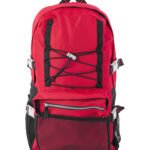 Sliver Line Backpack