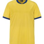 Swe-T