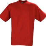 Heavy T-Shirt