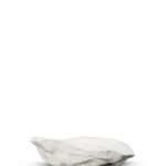 Fat Oyster