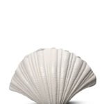 Vase Shell