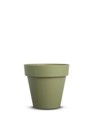 Potte Brixton S, Oliven