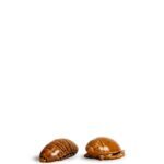 Salt & pepper Bug
