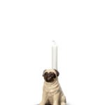 Lysestake Pug