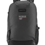 Adv Entity Computer Backpack OL