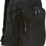 Black Line Daypack