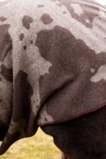 Pledd Anima cow - Bilde 6