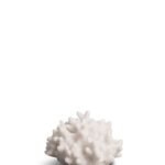 Lampe Coral Ametist