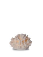 Lampe Coral Ametist - Bilde 5