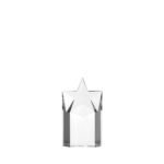 Starlite Award - Bilde 2