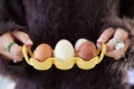 Ellen eggebrett - Bilde 11