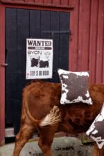 Pute Anima cow M - Bilde 5