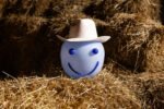 Vase Happy - Bilde 12
